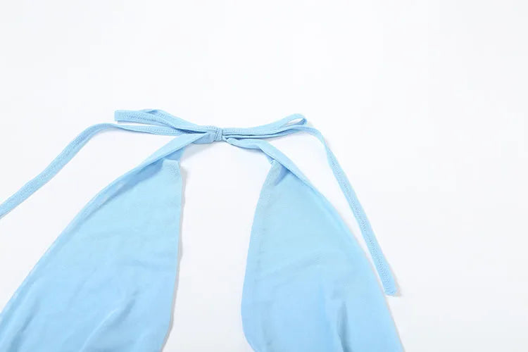 Sisterlinda Mesh Lace 2-Piece Party Set