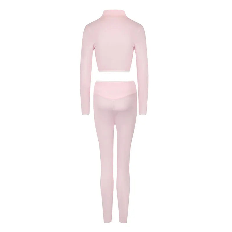 Autumn Women Pink 2-Piece Sports Suit