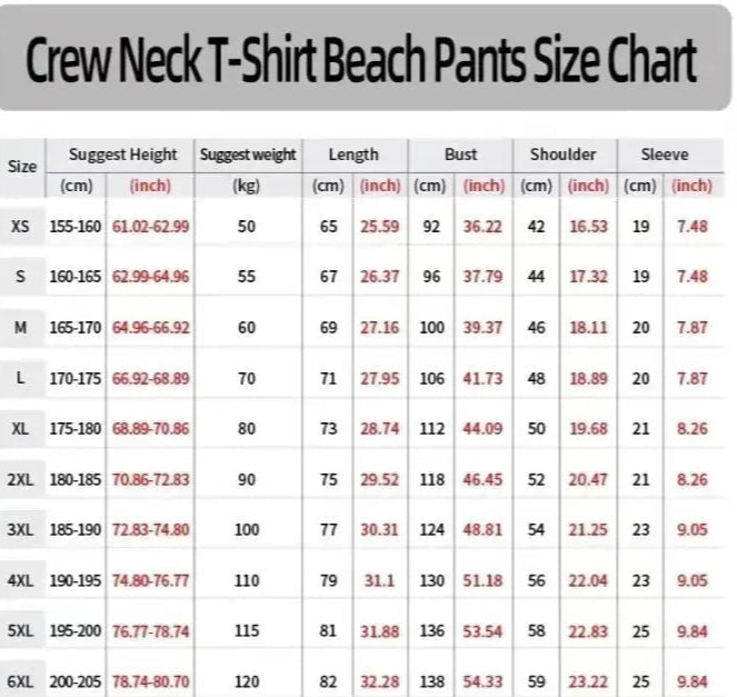 Men's 2025 Summer Casual Tracksuit – T-Shirt & Shorts